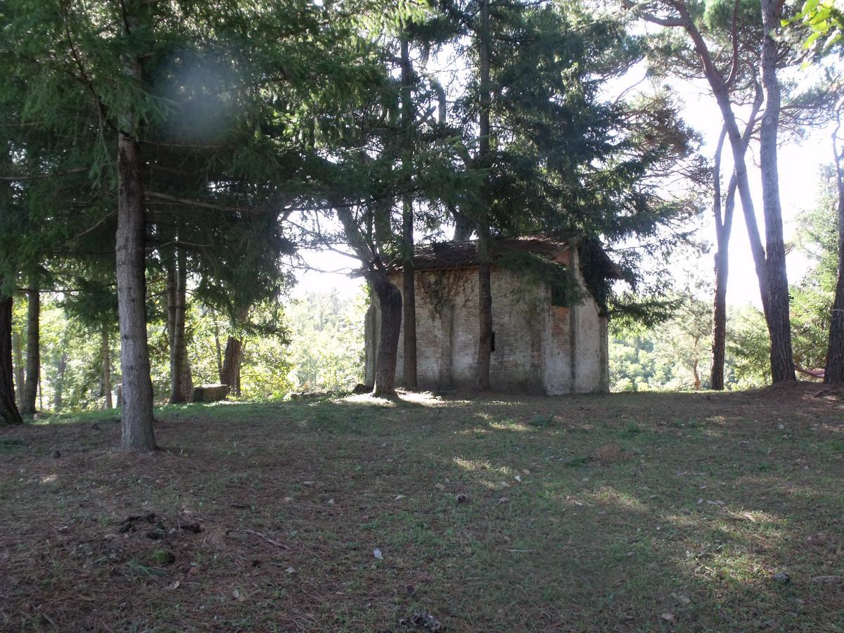 b&b Podere Montese Villafranca in Lunigiana Exterior foto